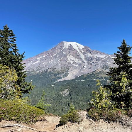 New Modern Cabin! 5Mi To Mt Rainier National Park! Hot Tub & Wifi Ashford Exterior photo
